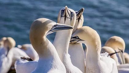 爱游戏平台体验-东亚杯精彩瞬间 U23国足冲击成焦点，u23亚洲杯东亚大区