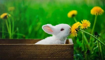 爱游戏首页入口-体育新闻中心发布智慧场馆内容发布全景解决方案，体育场馆智慧化服务的体现