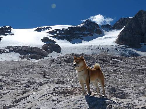 爱游戏体育-未来之星崭露头角：WRC新秀展现锋芒，未来之星是什么牌子