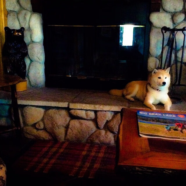 沃尔夫斯堡中场组织达人崭露头角，沃尔夫斯堡中锋