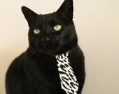 瑞士马术协会举办马匹护理培训班，提高骑手护理技能。，瑞典马术队