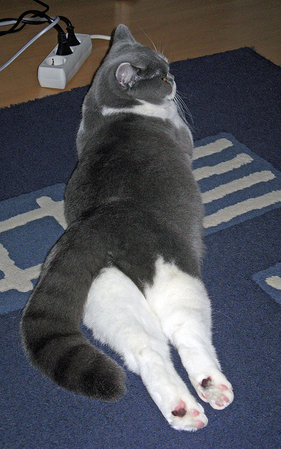 爱游戏官网-足球影视短片创作计划启动扶持青年导演，足球剪辑