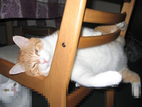 爱游戏APP-山西汉密召开战役，夺取胜利，山西汉密召开战役,夺取胜利是哪一年