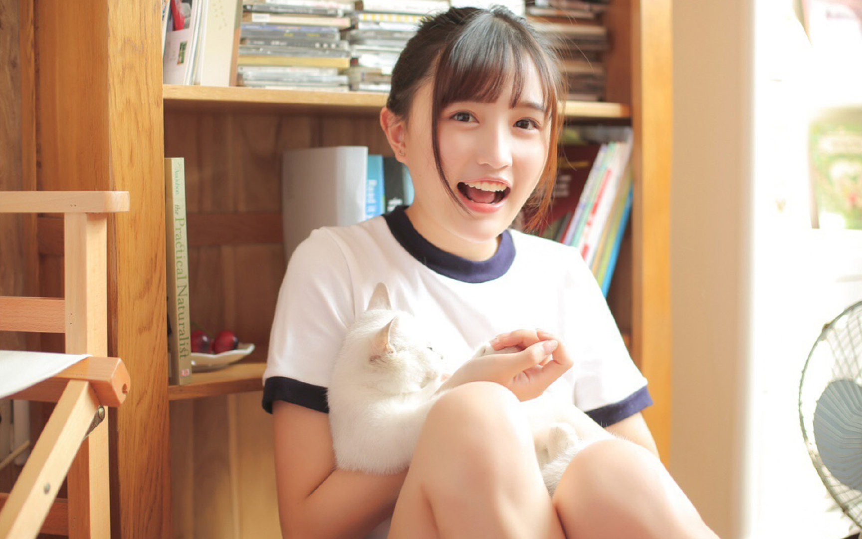 广厦控股 球迷呼声高涨，广厦控股阵容