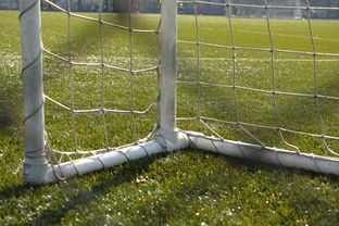 爱游戏品牌互动-中国足球门将扑救区域热图，中国足球门将最差吗