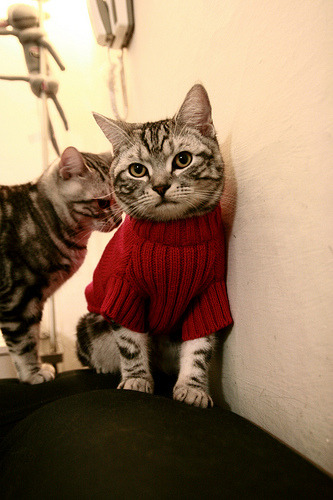 中国足球门将扑救区域热图，中国足球门将最差吗