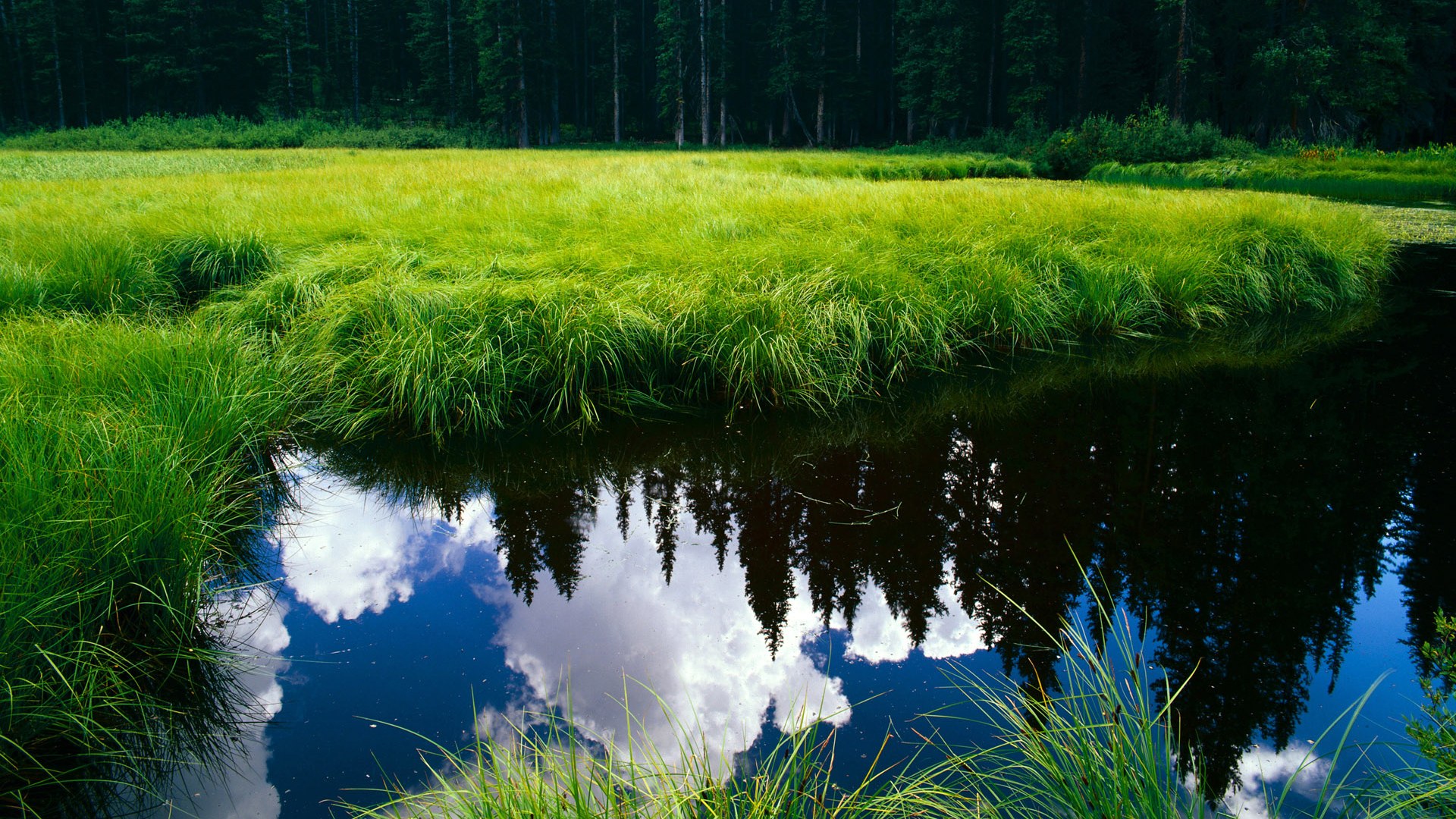 中国女篮持续优化快攻线路构建节奏优势，中国女篮真棒
